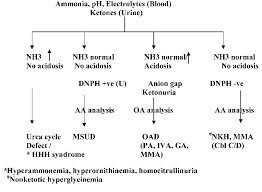 Flow Chart For Diagnosis Of Organic Acidurias Download
