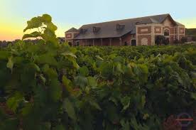 The little shop really surprised me. 6 North Texas Wineries Where We Like To Sip Savor And Linger Culturemap Dallas