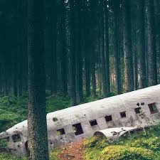 Surreal Iceland Plane Crash Solheimasandur Plane Crash In A Swedish Forest Coffee Mug By Anthony Londer 1 Iceland Plane Crash Environment Concept Art Iceland