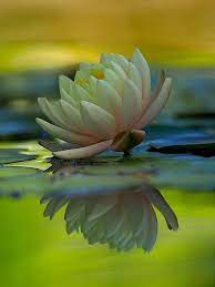 Pin On Photography I Like