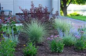 This Would Look Perfect In The Front Welcoming Yet Private Michaela Medina Thegardenerseden Front Yard Garden Ornamental Grasses Garden View