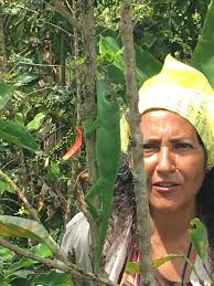 Photo Of The Week by John Vandermeer of a rare giant anole sighting