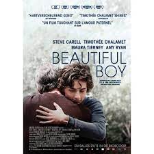 Beautiful Boy Dvd Steve Carell Mooie Jongens Timothee Chalamet
