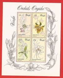 Image result for Eulophia fridericii