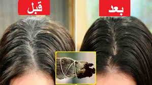 تجربتي مع المرامية للشعر الابيض بجد وصفه رائعه لازم تجربوها