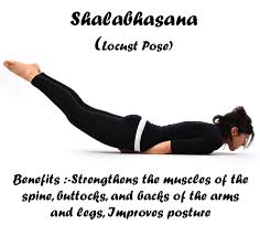 Find The Animated Video At Http Yogaguruji Com Locustpose Shalabhasana Anime Guru 27 Postures Muscle Poses