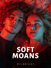 Wilbright books & novels