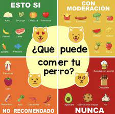 Lo Que Si Lo Que No Y Lo Que En Poca Cantidad Puede Ingerir Comer Tu Perro Alimentos Prohibidos Para Perros Alimentacion Perros Alimentos Para Perros
