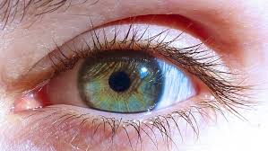 Il y a quelque temps, j'ai posté un article sur le changement de la couleur de ses yeux, à l'aide du miel. Temoignage Voici Comment Mes Yeux Ont Change De Couleur Apres Avoir Mange Une Alimentation Vegan Crue Pendant 6 Ans