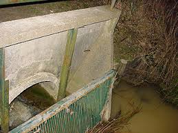 Photos prise à la décrue, après l'inondation record de l'aa (niveau record dépassé de 40 cm), début mars 2002. File Foret De Clairamarais Exutoire Etang 05 03 2002 Jpg Wikimedia Commons