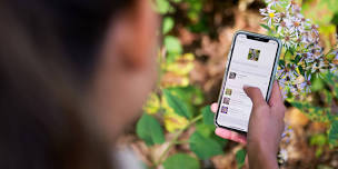 Birds, Critters and Flora: eBird and iNaturalist