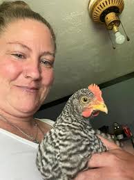 What type of rooster is this?