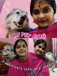 17 ide Temperament of Great Pyrenees Dogs teratas di 2025