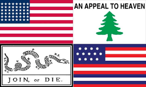 Confederate Flags Are For Losers The Howler