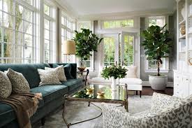Peacock Blue Velvet Sofa With Leopard Print Pillows Transitional Living Room