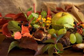 Frumos covorul multicolor de frunze. 16 Poze Speciale In Culorile Toamnei Cursuri Fotografie Videografie È™i GraficÄƒ In TimiÈ™oara La Sinpro