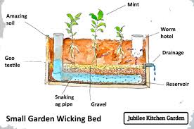 wicking worm beds building a raised garden garden beds wicking beds