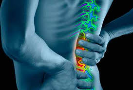 Almost everyone can benefit from stretching muscles in the low back, buttocks, hips, and legs (especially the hamstring muscles). Webmd Back Pain Health Center Information And News About Back Pain