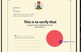 Image result for LAgos land documents sample