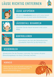 Andere wiederum legen erst ab dem 7. Lause Ihre Apotheke Informiert Uber Die Parasiten
