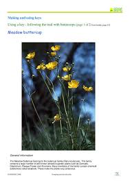 Check spelling or type a new query. Grouping And Classification Suitable For Home Teaching Stem