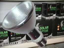 China Metal Halide Lamp Uvb Bulb 35w 50w 70w Hqi Reptile Lighting Par30 Light China Metal Halide Lamp Uvb Bulb