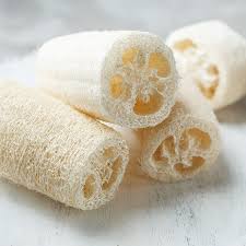 Image result for Luffa