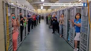 We did not find results for: Amid More Pet Adoptions This Dog Pound Is Empty For The First Time Ever