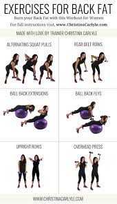 Pin On Back Workouts And Exercises