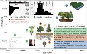 Animals obtain these compounds when they eat the plants. Soil Plant Atmosphere Interactions Structure Function And Predictive Scaling For Climate Change Mitigation Springerlink