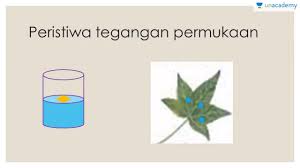 Namun diperjumpaan sebelumnya qupper.co.id juga telah menyampaikan materi tentang dimensi momentum. Tegangan Permukaan Fisika Sma Youtube