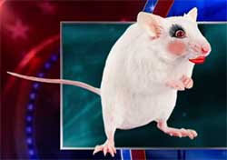 images?q=tbn:ANd9GcQUV06PfanXHWYRe5m9mIi