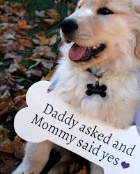 婚禮x 好用英文從婚宴門口的拍照板到簽名的本子再到會場各個角落的小佈置有很多地方如果使用可愛英文 短語單字會比用中文來得有氣氛也更能營造一致的美式風格哦但是萬一拼錯用錯英文就糗糗的啦有哪些保證安全又趣味的英文可以用在裝飾 marriage advice cards fun