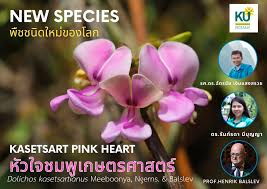 Image result for Wajira grahamiana