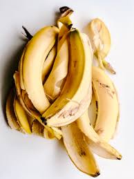 You have probably read about how beneficial and nutritious bananas are for people, but did you know that they are also wonderful for your plants ? How To Make Fertiliser From Banana Peels Urban Plant Life