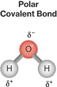 Maybe you would like to learn more about one of these? Water Molecule Structure Course Hero