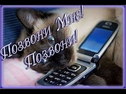 скачать песню позвони мне позвони позвони мне ради бога Pozvoni Mne Pozvoni Vsemvseobovsem Borzaya