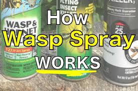 The Fascinating Reason Why Wasp Spray Works Pest Pointers Tips For At Home Pest Control