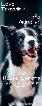 Check spelling or type a new query. Set Up A Profile On House Carers And Start Your House Sitting Journey Today How To Be A Pet Sitter How To Pet Pet Sitting Business House Sitting Cat Sitting