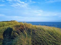 Welcome to the official afc bournemouth facebook page. Race Event Run To The Sea Bournemouth Racecheck