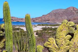 Other reviews of rice & beans motel (baja california) are here. Diy Baja California Road Trip 64 Tips To Create Your Own Baja Adventure