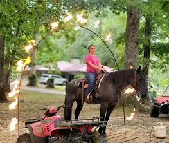 Image result for tbn:tVj6rqcH-AQR9M::www.pregonagropecuario.com.ar/images/caballo_overo.jpg