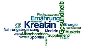 Studien haben allerdings gezeigt, dass der über einen längeren zeitraum spielt das allerdings eine untergeordnete rolle. Creatin Was Bringt Creatin Fur Den Muskelaufbau