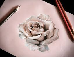 25 Beautiful Rose Drawings And Paintings For Your Inspiration White Rose Tattoos Roses Drawing Rose Drawing