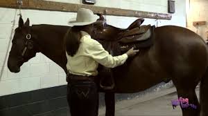 The professional rodeo cowboys association (prca) is the largest rodeo organization in the world. Equine Info Exchange Rodeo