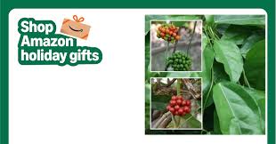 Image result for Tiliacora funifera