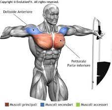 The chest is made up of two muscles that work together to make the chest function. Cable Crossover Muscle Activation Chest Workouts Workout Fitness Body