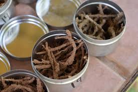 Image result for Pogonarthria