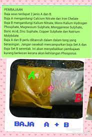 Basic 1 cara bancuh baja ab mix yang betul. Apa Kandungan Baja Ab Hingga Menyebabkan Tanaman Lebih Mudah Dan Cepat Membesar Impiana