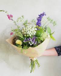 Check spelling or type a new query. My Top 5 Filler Flowers For The Cutting Garden Sarah Hill Flowers